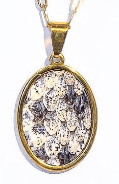 DiamondBack Rattlesnake Oval Signature Pendant