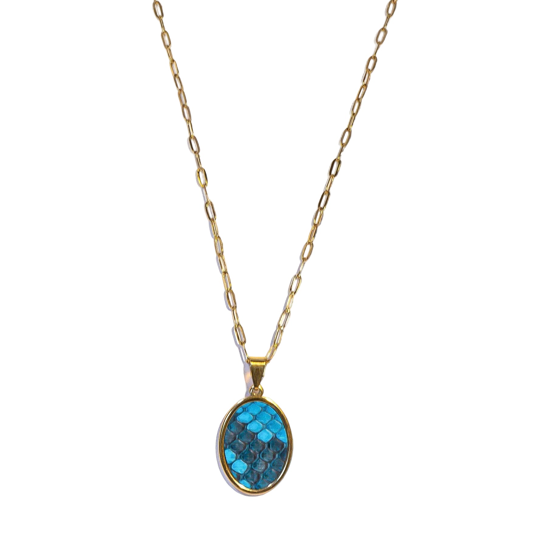 Turks Oval Signature Necklace